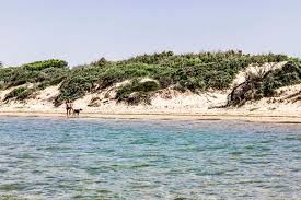Ispica, passeggiando tra le dune di Santa Maria del Focallo