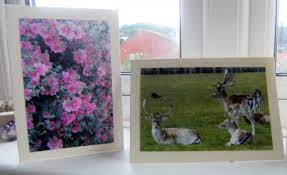 Create a social media presence. How To Set Up A Card Business Using Photo Prints Toughnickel
