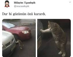 Agustos Ayinda Pazara Giderken Ben Komik Internet Fenomenleri Eglenceli Resimler Komik Seyler