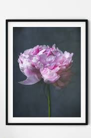 Pink Navy Peony Print Peony Wall Art Floral Wall Art Etsy Botanical Wall Art Floral Wall Art Etsy Wall Art