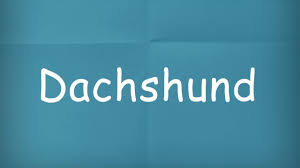 Read on to find out how the dachshund got its name, what the word 'dachshund' means, and the list of fun nicknames that. How Do You Pronounce Dachshund How To Pronounce Dachshund 100 Books To Read