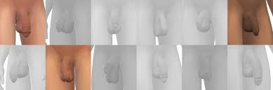 Sims 4 penis mod