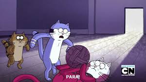 Regular Show Cat Videos Tv Episode 2015 Photo Gallery Imdb