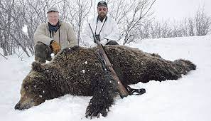 Most guides here, bear guides and moose or caribou and other big game guides as well, due to bears ever ready to show up on a kill site, have higher power handguns for should i carry a backup gun to hunt alaskan kodiak brown bears? The Other Dangerous Game