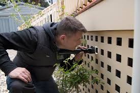 When it comes to pest control, who is financially responsible? What Is A Satisfactory Building Inspection Report Detail Building Inspections