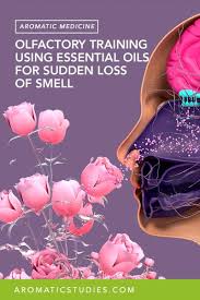 Image result for Olfactory Training