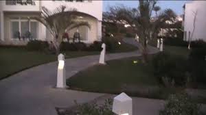 Tree and lawns free photo. Deadly Stone Fish Picture Of Reef Oasis Blue Bay Resort Sharm El Sheikh Tripadvisor