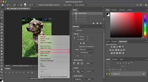 Check spelling or type a new query. How To Remove A Background In Photoshop In 2 Ways