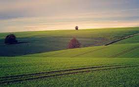 Things to Consider When Selling Land for the First Time | Find The Home Pros