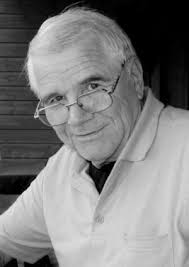 Ing. Wilfried Wagner