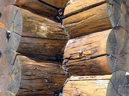 Why Do Log Homes Develop Dry Rot In A Word Water Moisture In The Form Of Rain Or Snow Is The Reason For Rot In Wood If Your Log Log
