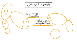 ÙÙŠØ¯ÙŠÙˆ Ø§Ù„Ø¯Ø±Ø³ Ø§Ù„ØªÙ†ÙØ³ Ø§Ù„Ù„Ø§Ù‡ÙˆØ§Ø¦ÙŠ Ù†Ø¬ÙˆÙ‰