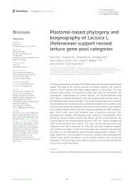 Image result for Lactuca lasiorhiza