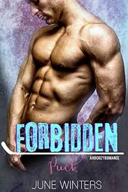 The unexpected happens in an instant. Forbidden Puck Boston Brawlers 1 By June Winters