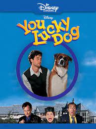 Watch You Lucky Dog Prime Video