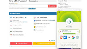 How to Get an Indian IP Address Abroad [A Step-by-Step Guide for 2025]