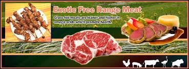 We did not find results for: Pin On Exotic Meats