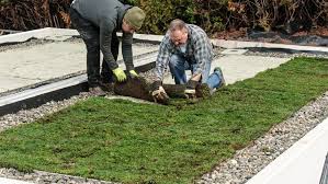 Dach Decken Mit Wellplatten In 7 Schritten Obi In 2020 Dachbegrunung Gartendach Dachterrasse Begrunen