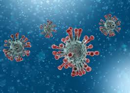 Image result for coronavirus"