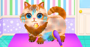 Check spelling or type a new query. Funny Pet Haircut Play Free Online At Gogy Games