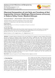 Image result for Diplolophium africanum