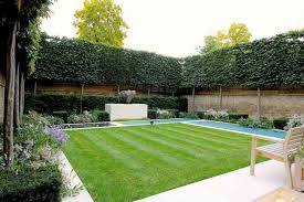 Privacy screens keep the person sitting next to you on the bus from seeing what you're watching. 13 Landscaping Ideas For Creating Privacy In Your Yard