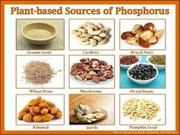 phosphorus rich foods in 2019 nutritious meals vegan