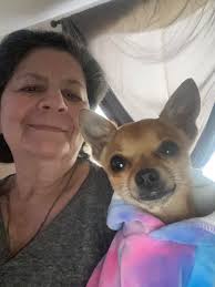 Is your dog a dash jumper?