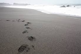 Come join us at our quiet family campground to enjoy the sun and sand during the day and beautiful scenery at night. Wrights Beach Bodega Bay Ca California Beaches