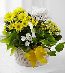 Maybe you would like to learn more about one of these? Hospital Flower Delivery Hospital Gift Shop