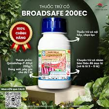 Broadsafe 200EC