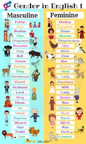 gender of nouns useful masculine and feminine list 7 e s l