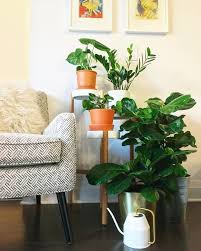 Paintings, plant, and a glass center table. Houseplants Plant Stand Plant Display Indoor Plants Plants Decor Plant Decor Ideas Home Decor Interior Style Plant Corner Nordic Style Scand Interieur Woonkamer