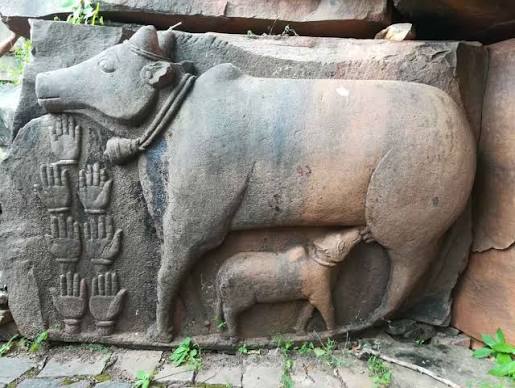 THE FORGOTTEN FORT OF AJAIGARH , PANNA - Tripoto