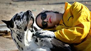 Maybe you would like to learn more about one of these? You And Your Dog Are Truly Chemically In Love Quartz