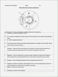 Some will be used more than once. Diagram Water Cycle Diagram Worksheet Answers Full Version Hd Quality Worksheet Answers Diagramamannn Ecoldo It