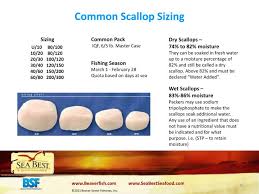 Sea Scallop Size Chart Related Keywords Suggestions Sea