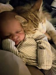 Lakeland, Florida he's been living