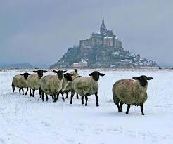 Mont St Michel Normandie France Best Vacation Destinations France Travel Mont Saint Michel France