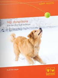 It's our love for animals that brought us to this field. 26 Hips Don T Lie Ideas Dogs Hip Replacement Surgery Hips