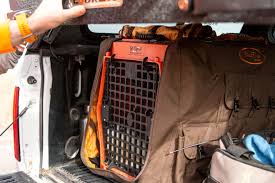 Check spelling or type a new query. Traveling With Bird Dogs Birds