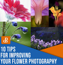 Here you can find different types of flower pictures, among them red flowers, white flowers, rose flowers, spring flowers, flower wallpapers and other flower images. 10 Flower Photography Tips For Gorgeous Results