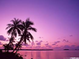 Download for free on all your devices computer. Beautiful Spring Computer Wallpapers Hd Wallpapers Desktop Background