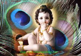 The day before the krishna jayanthi,people of tamil nadu start to prepare sweets like adhirasam,murukku,seedai,palkova,butter(vennai),thenkol. Krishna Janmashtami Quotes Wishes In Hindi English Wordzz