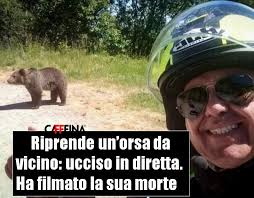 Riprende un'orsa da vicino: ucciso in diretta. Ha filmato la sua morte ⤵⤵