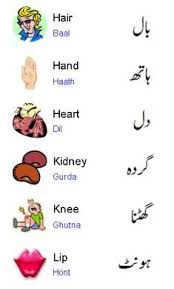 Pin On Language Urdu