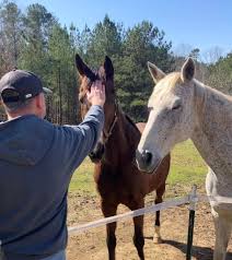 Halcyon Healing Center, Inc...