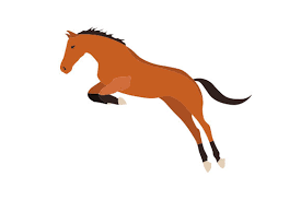 Download 156 Horse Equestrian Crafts 2020 Page 2 Of 5 Creative Fabrica SVG Cut Files