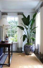 Room Decor Decorideasaccentsaccessories Bedroom Designs Arredamento Piante Da Interni Piante Da Appartamento Arredare Con Le Piante Da Appartamento