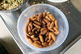 Chefs serve up gourmet insect dishes at Botanical Garden